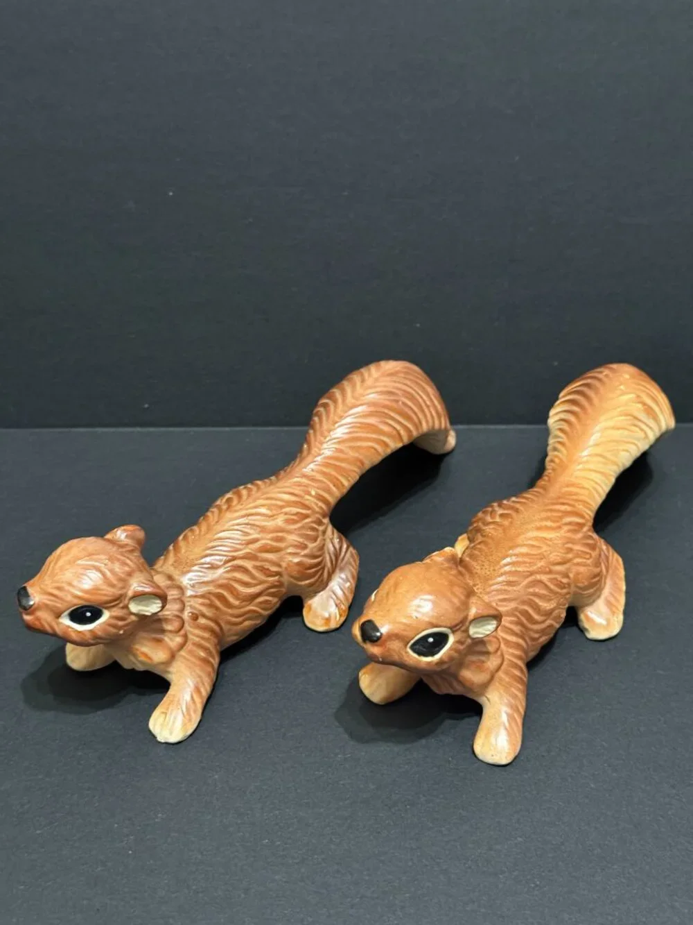 N/A norcrest squirrel